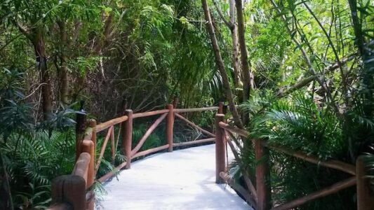 LOT IN SENDEROS DE MAYAKOBA – PLAYA DEL CARMEN -QUINTANA ROO